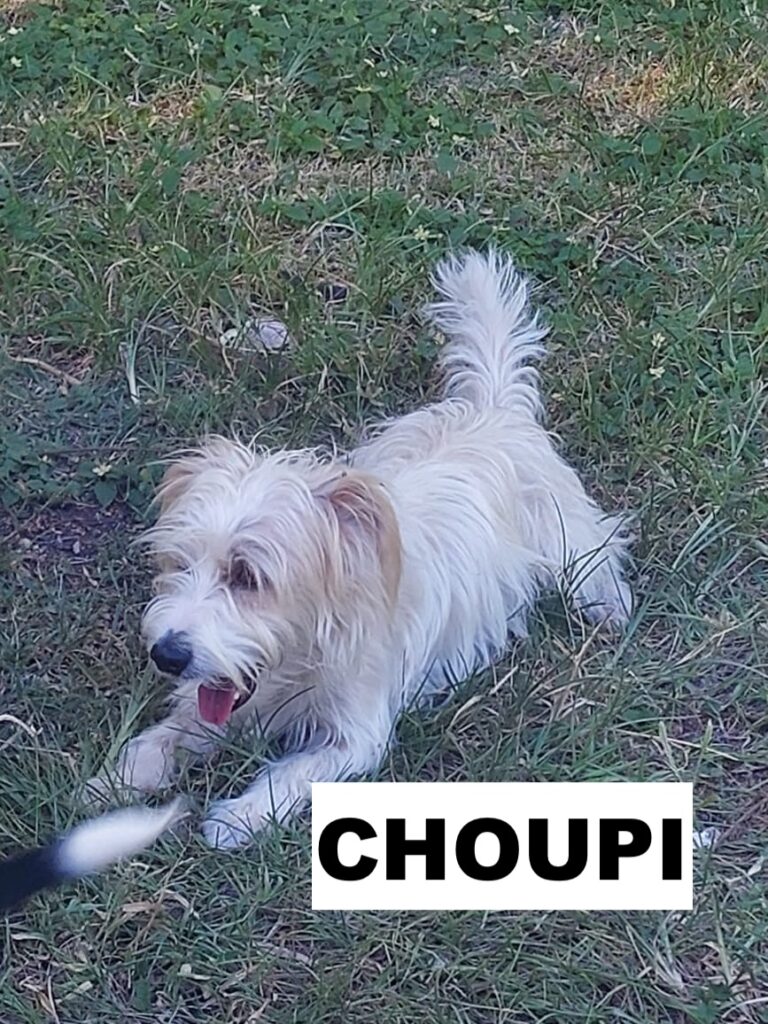 3ce4c786 4c34 492f 8b52 77e2211de45a