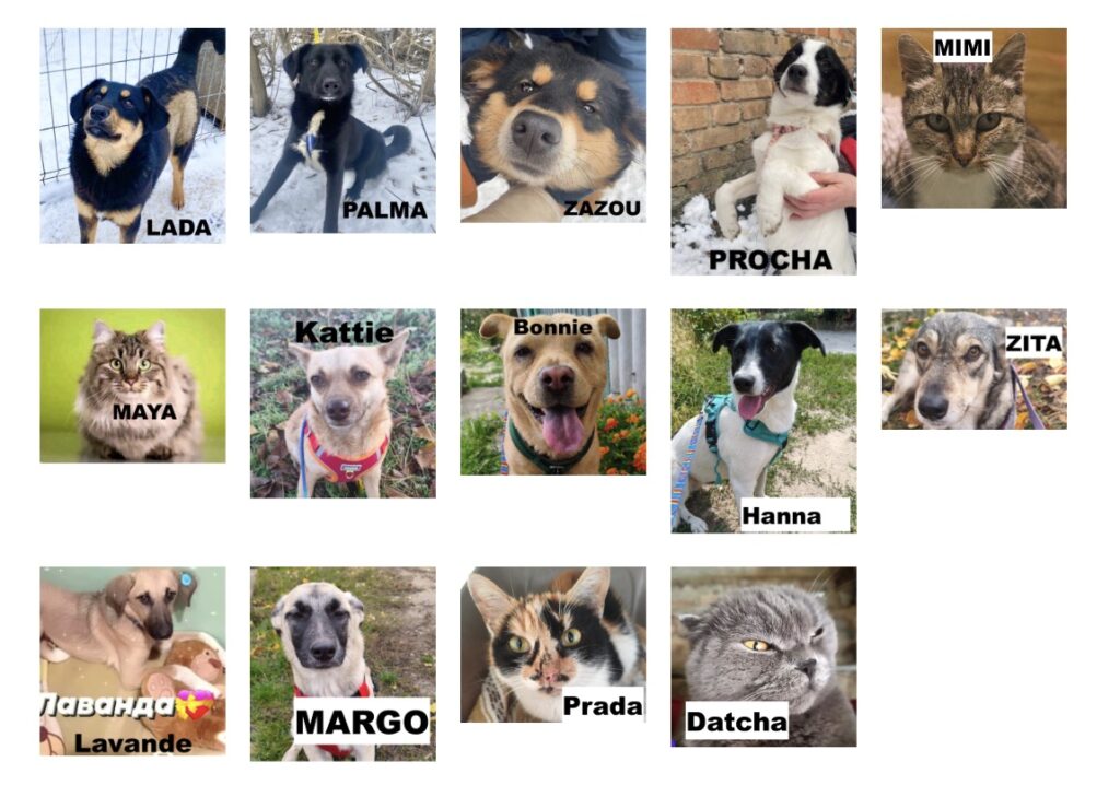 616147493 896025359605401 4146191680842828119 n