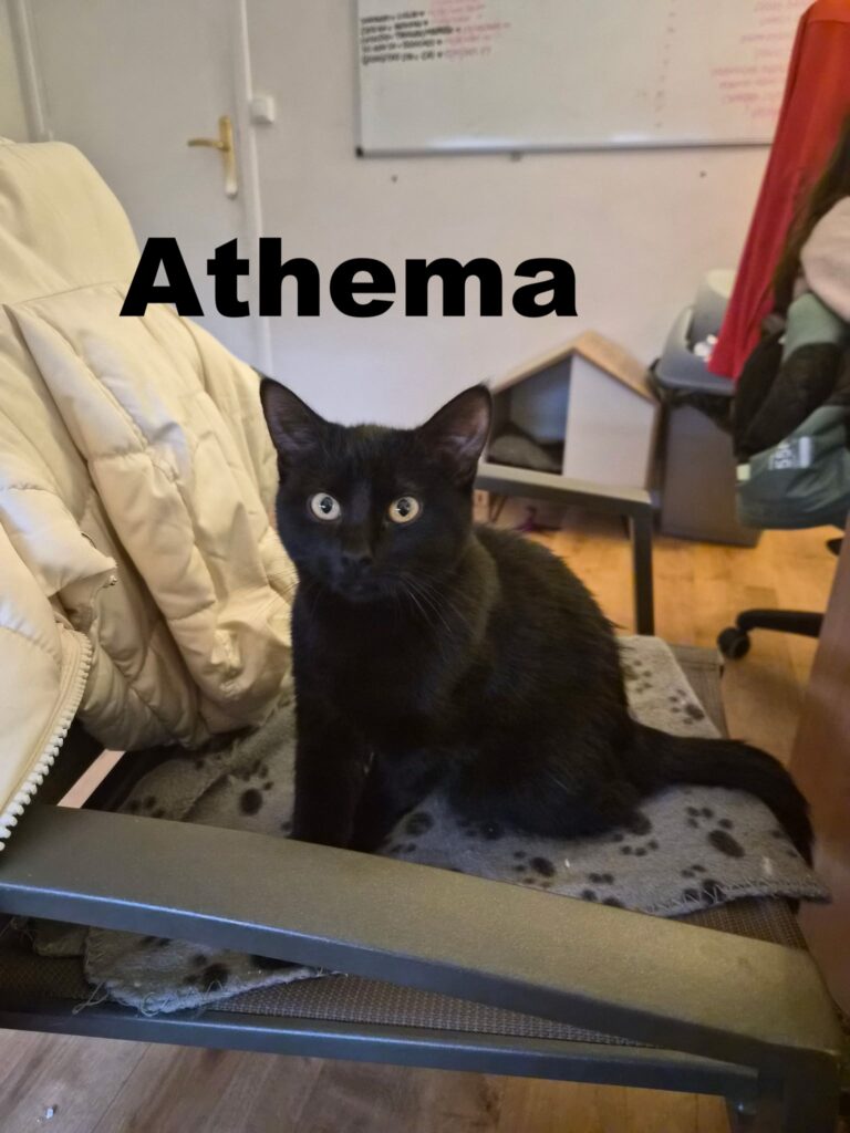 b535db2f ad8a 4fb8 a0a4 9912d38d96b7