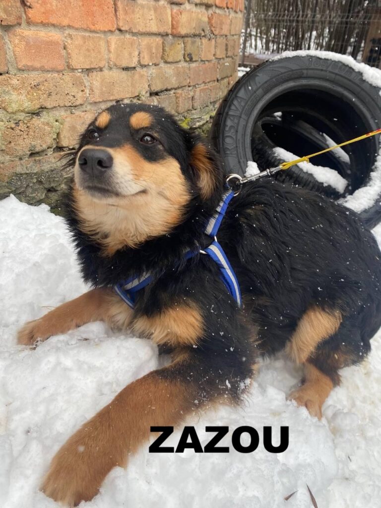 whatsapp image 2025 12 30 at 14.33.20 (1)