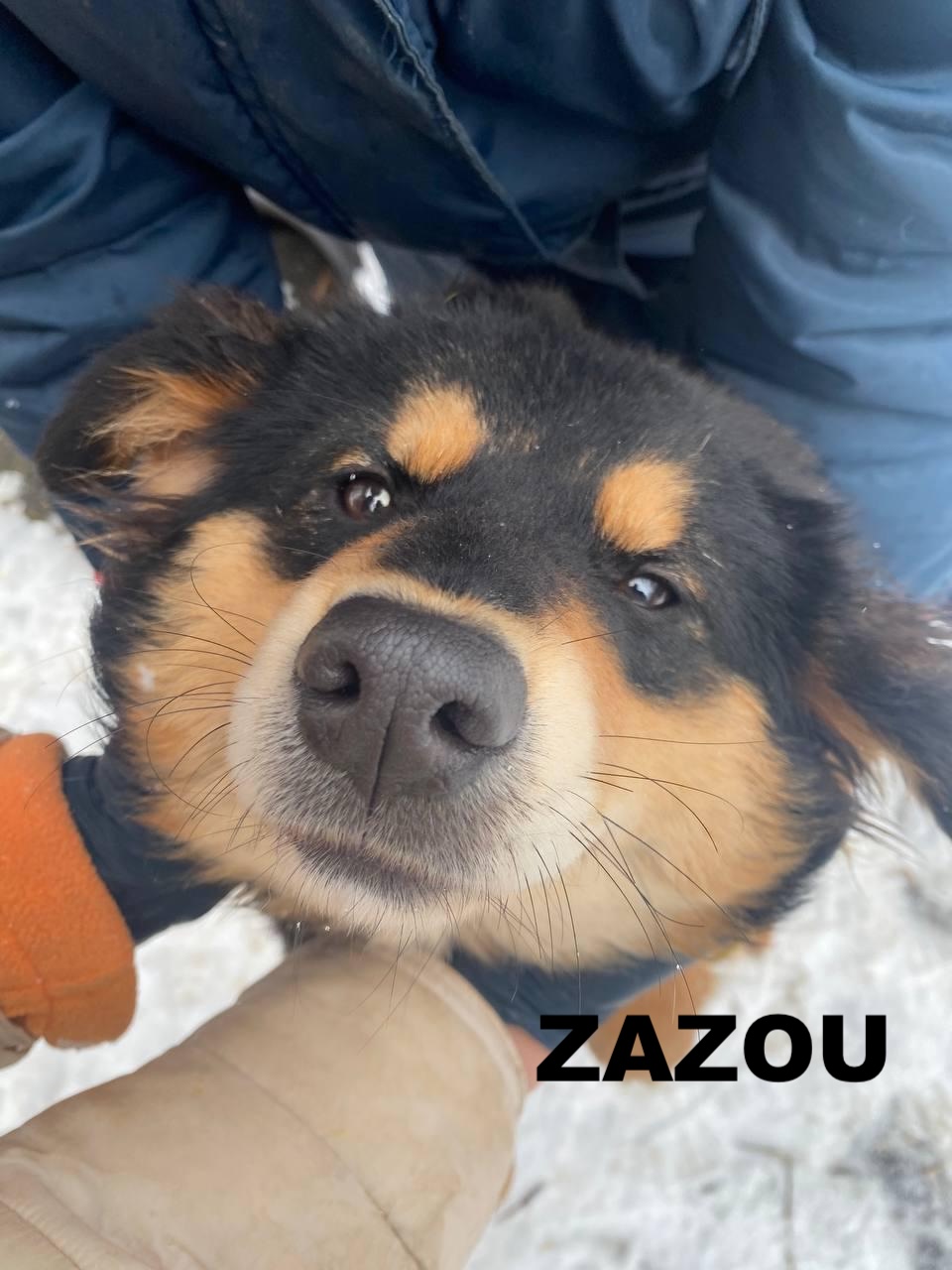 whatsapp image 2025 12 30 at 14.33.23