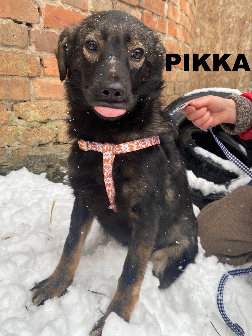 whatsapp image 2025 12 30 at 15.16.06 (1)