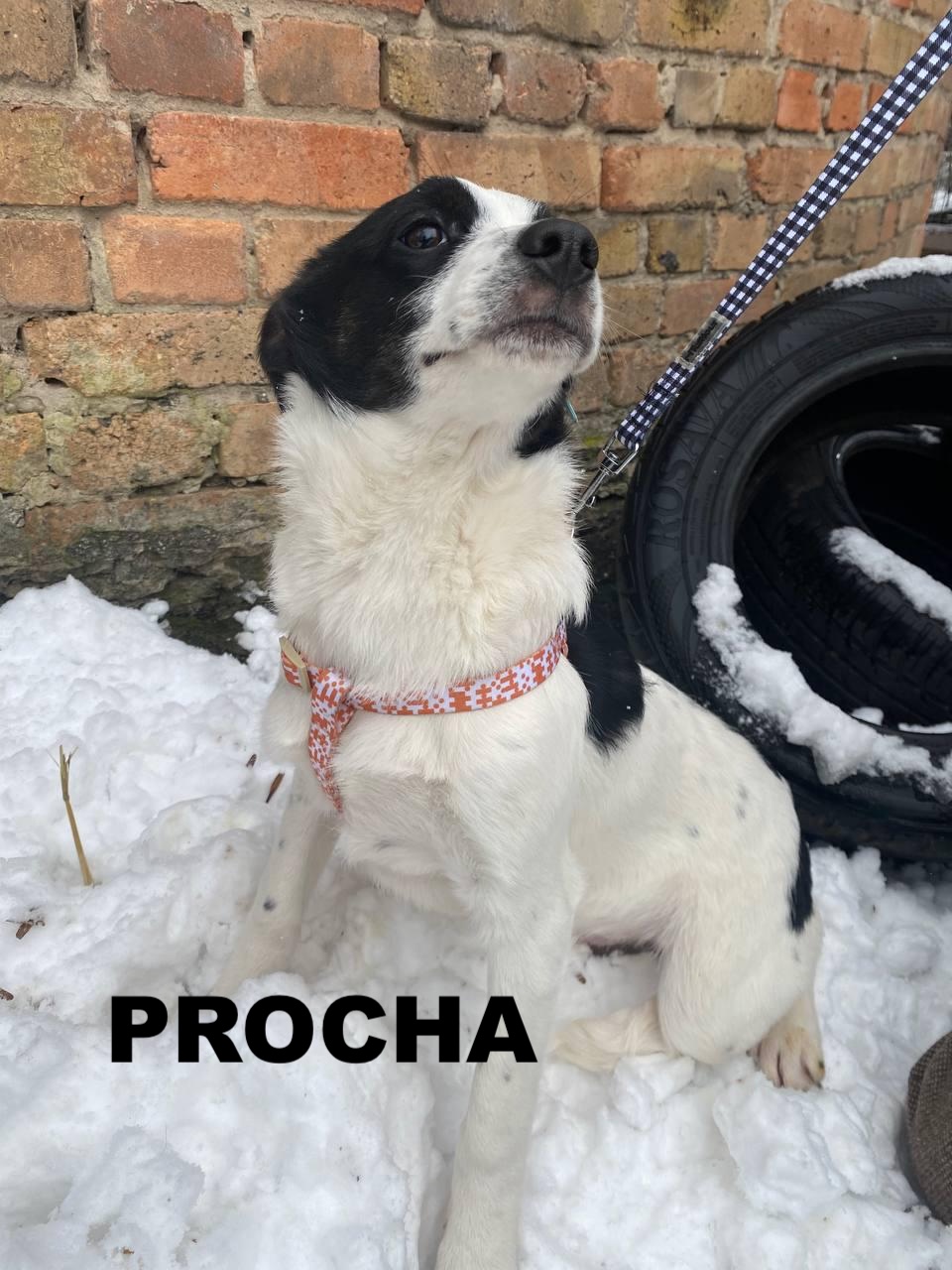 whatsapp image 2025 12 30 at 17.33.14 (1)