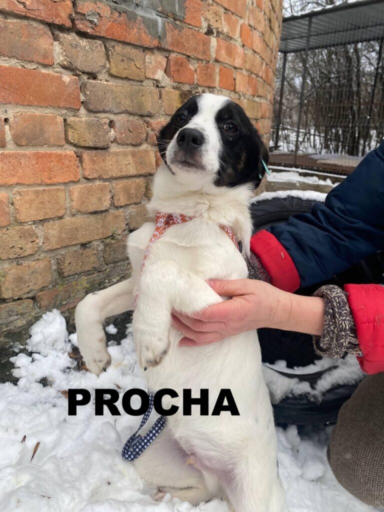 whatsapp image 2025 12 30 at 17.33.14 (2)