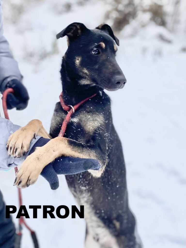 whatsapp image 2026 01 01 at 10.09.15 (1)