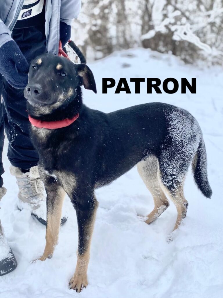 whatsapp image 2026 01 01 at 10.09.15