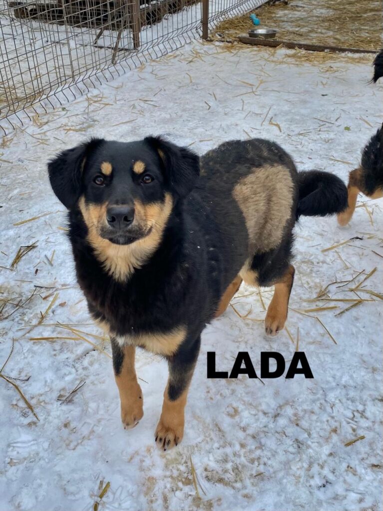 whatsapp image 2026 01 01 at 10.12.07