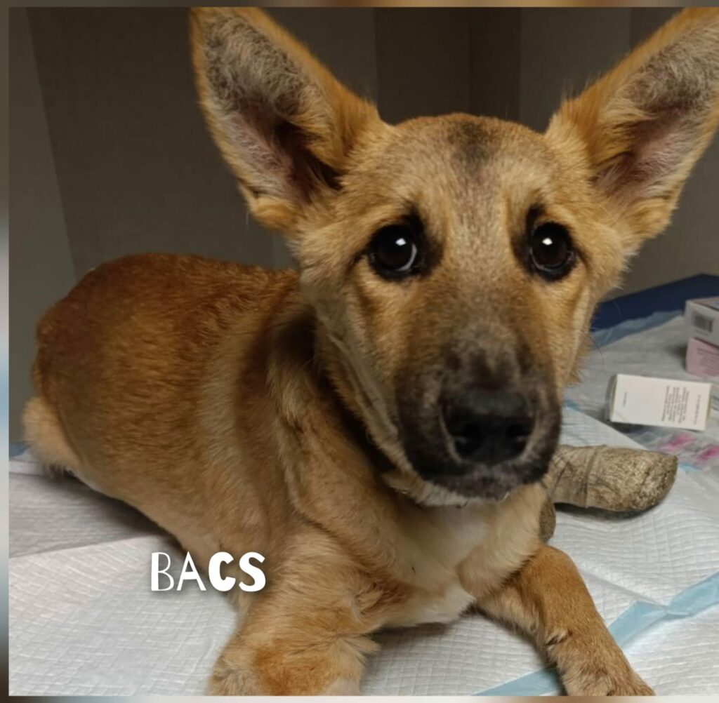 whatsapp image 2026 01 01 at 15.40.39 (3)