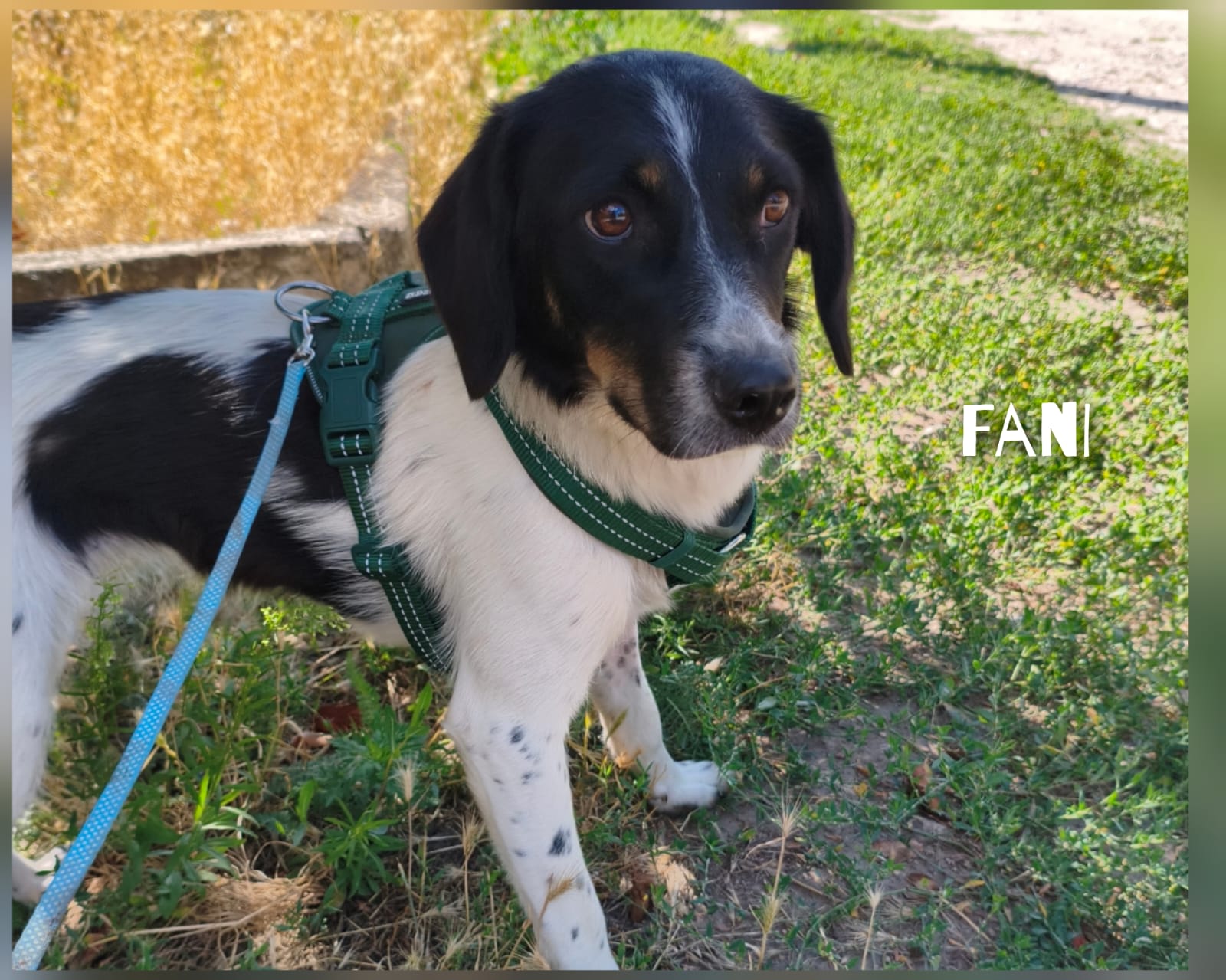 whatsapp image 2026 01 01 at 17.53.11 (1)