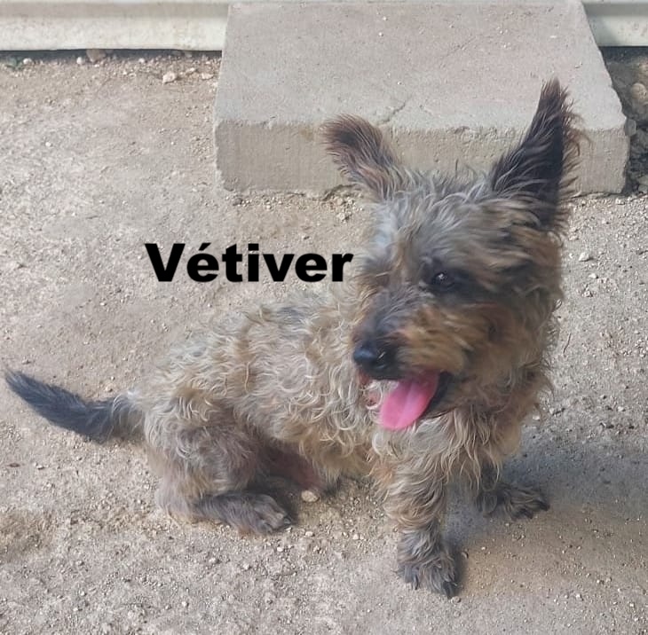 whatsapp image 2026 01 09 at 16.15.25