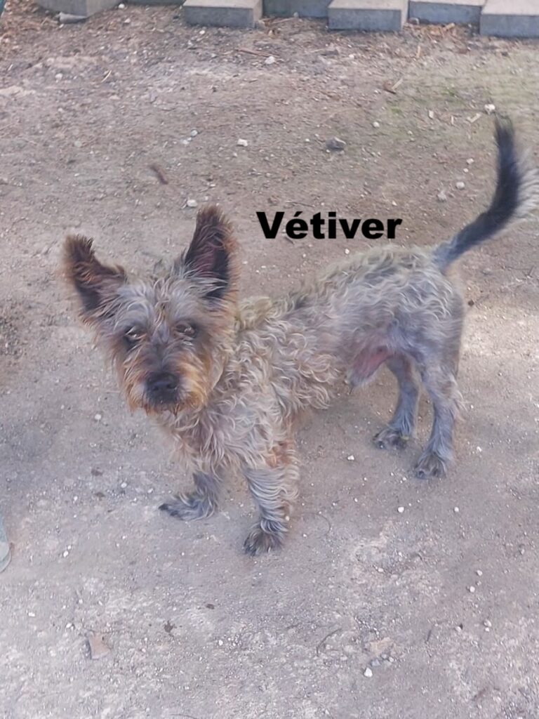 whatsapp image 2026 01 09 at 16.19.51