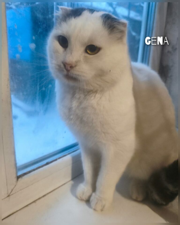 whatsapp image 2026 01 11 at 10.34.04