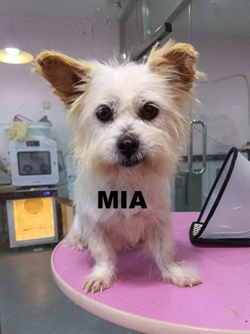 whatsapp image 2026 01 11 at 10.54.17