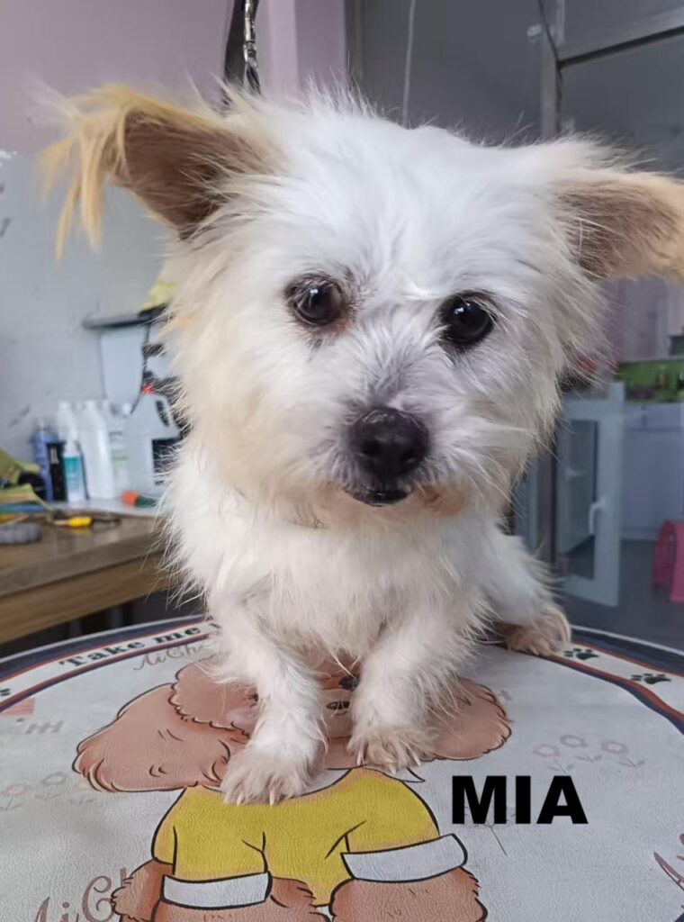 whatsapp image 2026 01 12 at 07.45.40