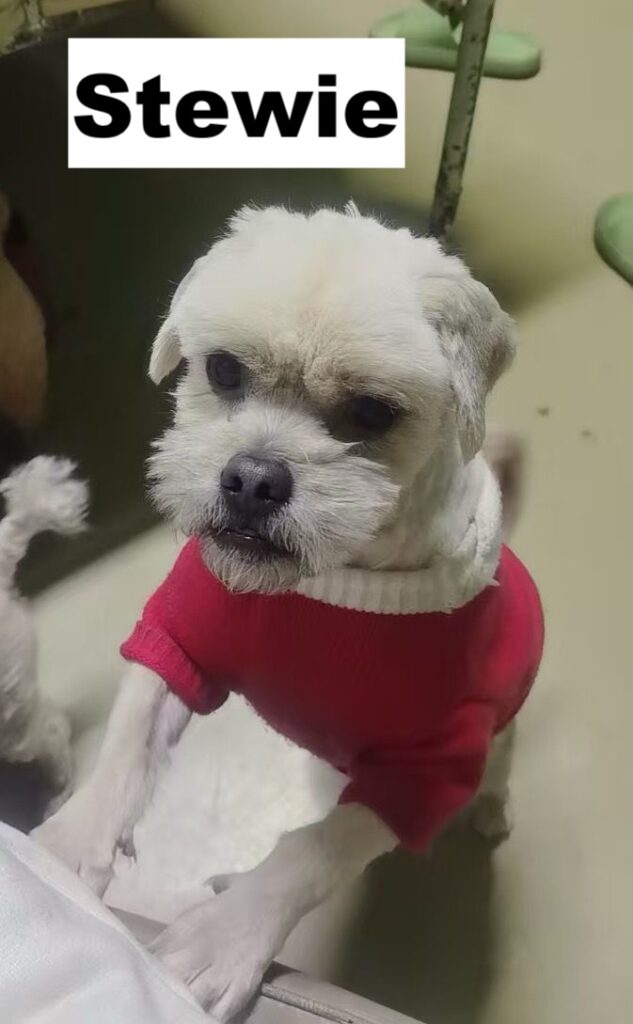 whatsapp image 2026 01 12 at 12.52.07