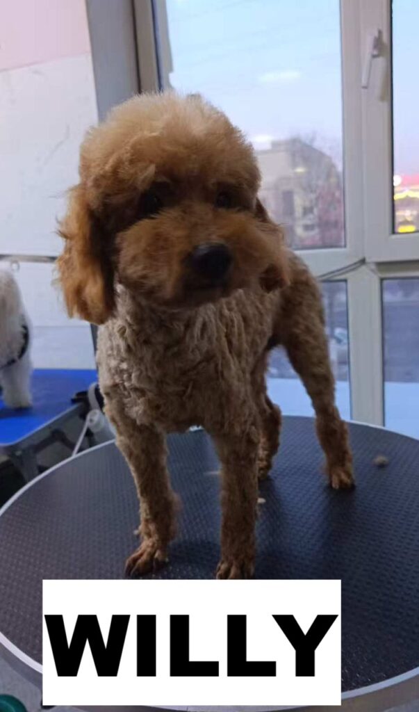 whatsapp image 2026 01 19 at 15.32.32