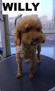 whatsapp image 2026 01 19 at 15.32.54