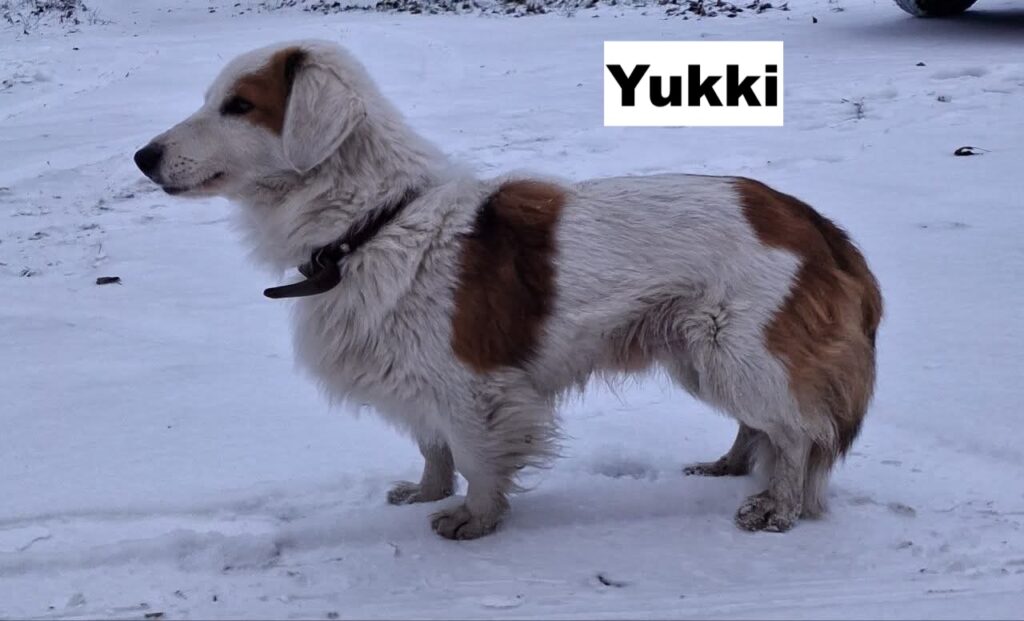 whatsapp image 2026 01 20 at 10.13.53 (1)