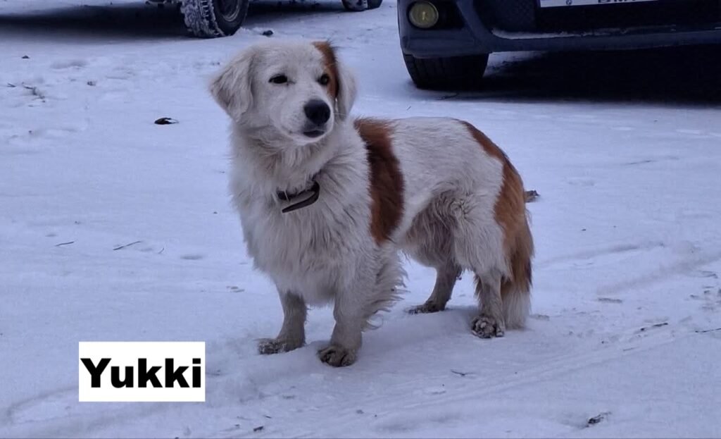 whatsapp image 2026 01 20 at 10.13.53