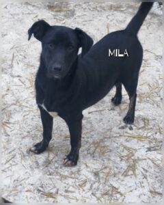 whatsapp image 2026 01 20 at 10.35.37 (1)