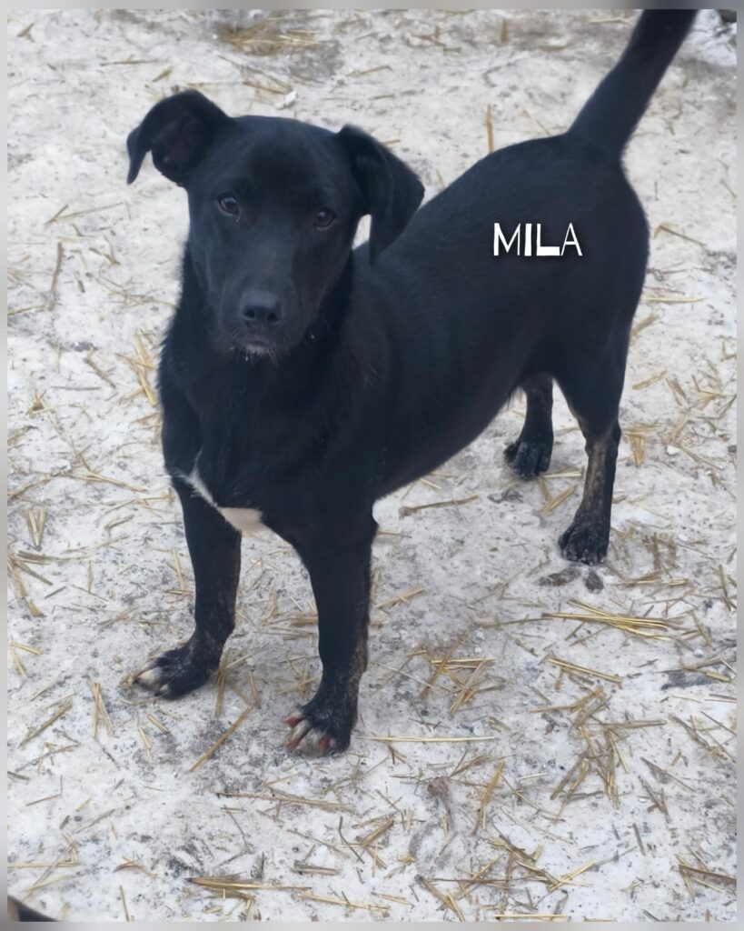 whatsapp image 2026 01 20 at 10.35.37 (1)