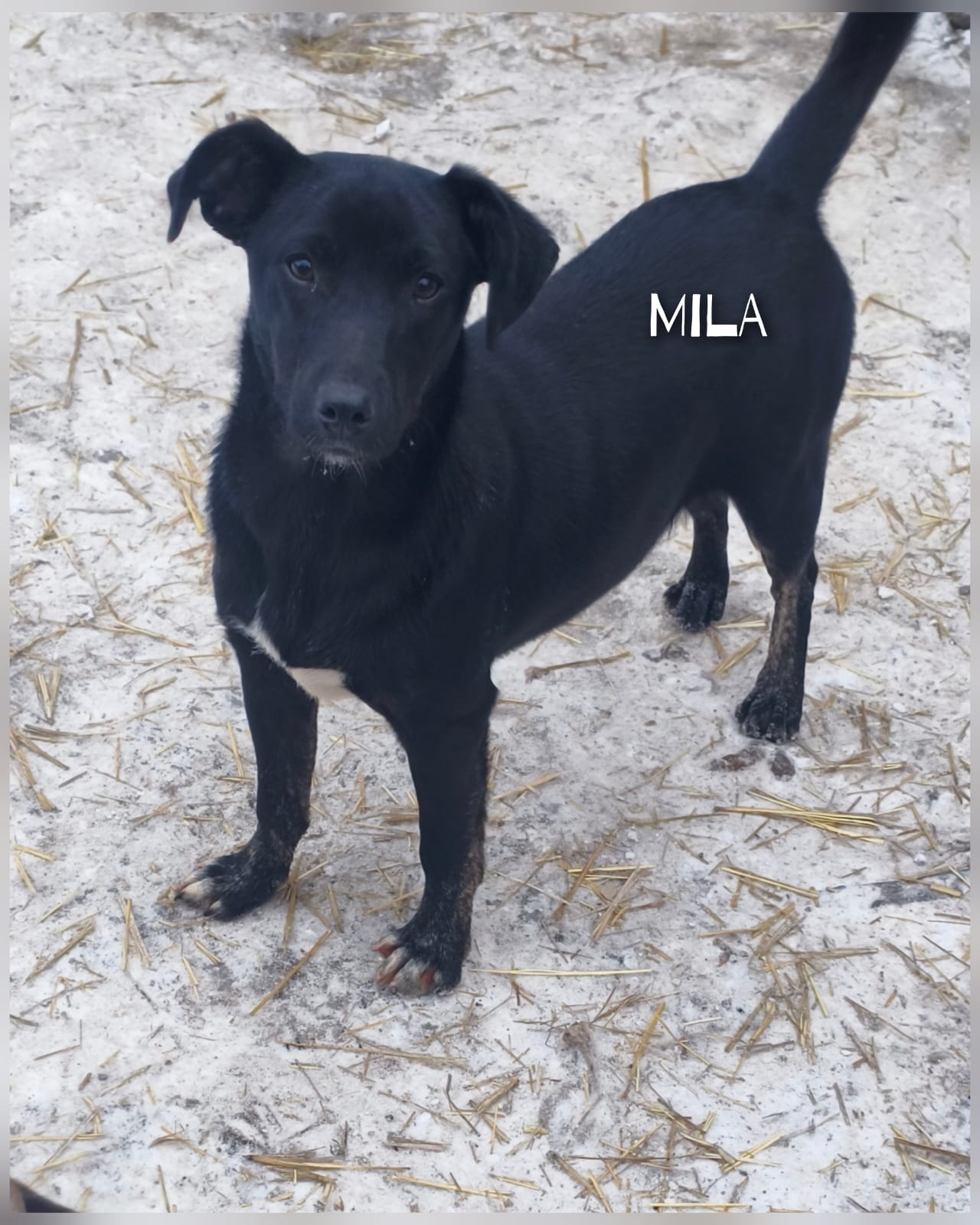 whatsapp image 2026 01 20 at 10.35.37 (1)