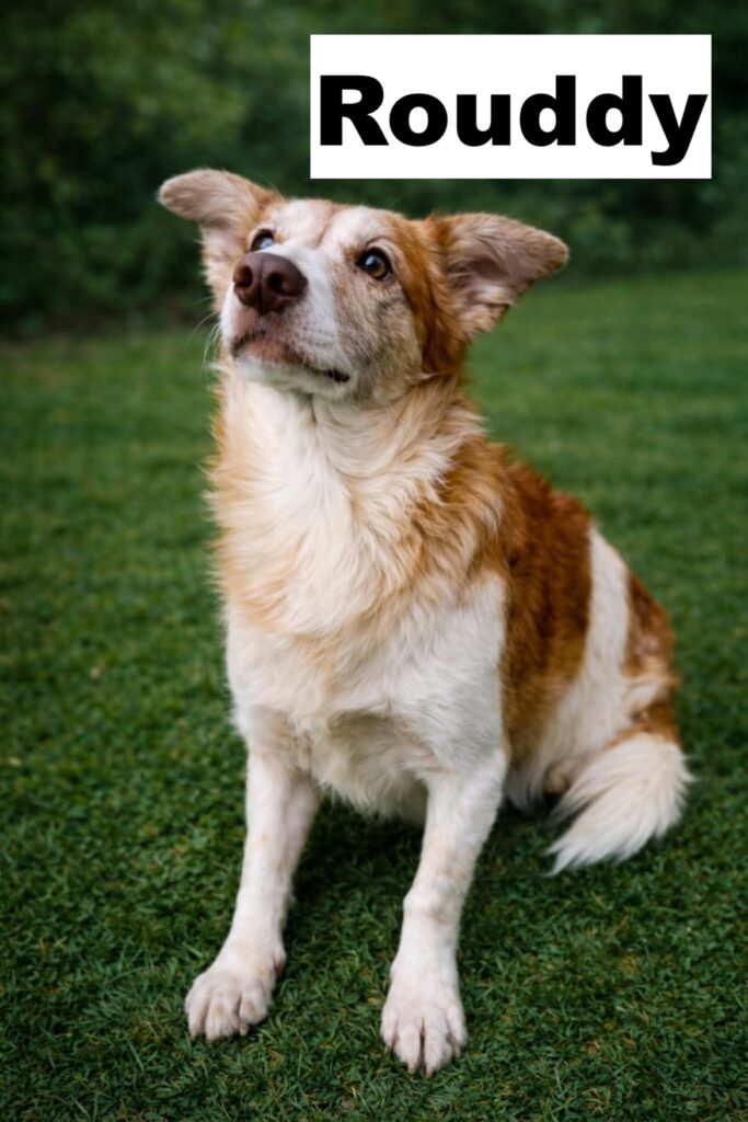 whatsapp image 2026 01 21 at 09.08.08