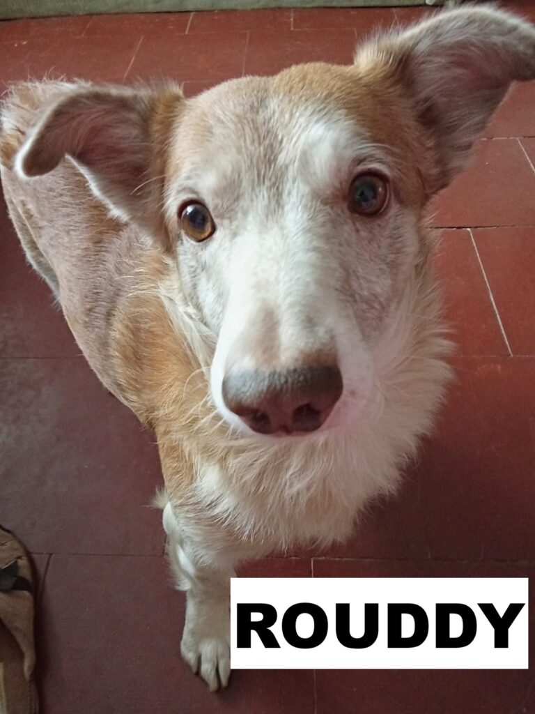 whatsapp image 2026 01 21 at 09.08.09 (2)