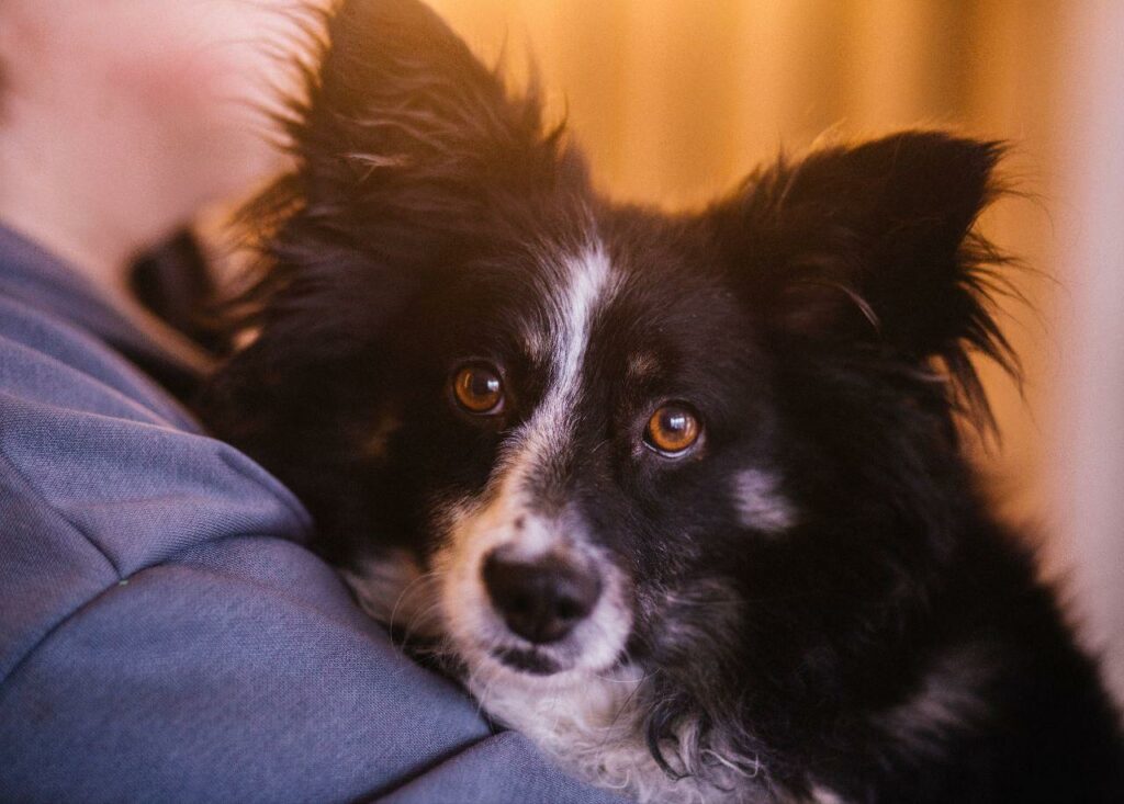 634889558 924519766755960 2099835788525482433 n