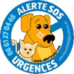 sologo aitools bgremover