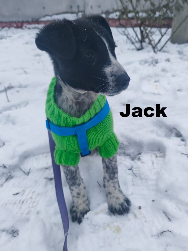 whatsapp image 2026 01 02 at 10.16.23