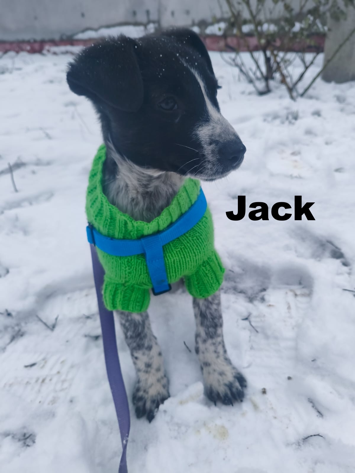 whatsapp image 2026 01 02 at 10.16.23