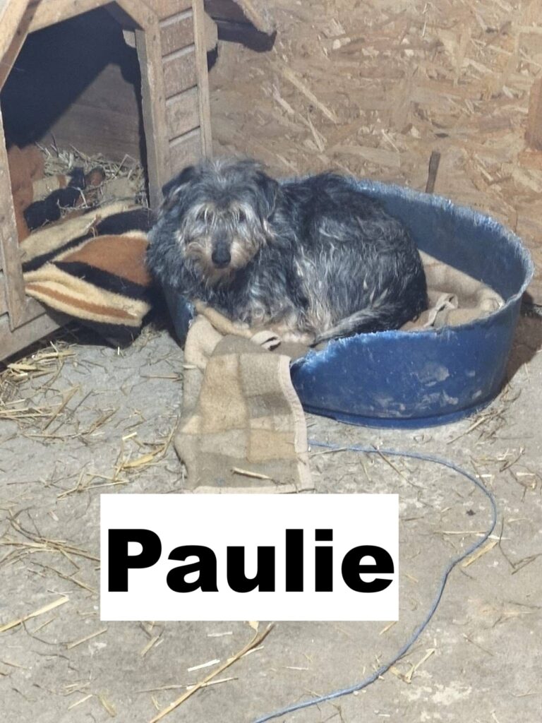 whatsapp image 2026 01 21 at 18.35.58