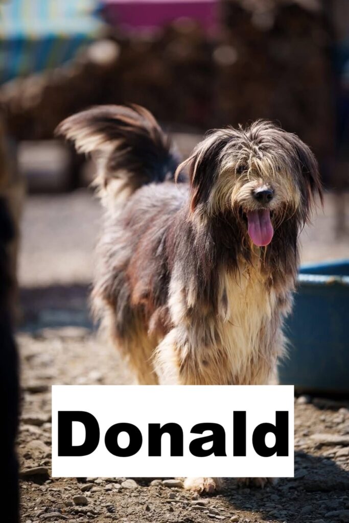 whatsapp image 2026 01 21 at 18.37.52