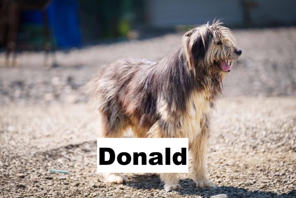 whatsapp image 2026 01 21 at 18.37.53