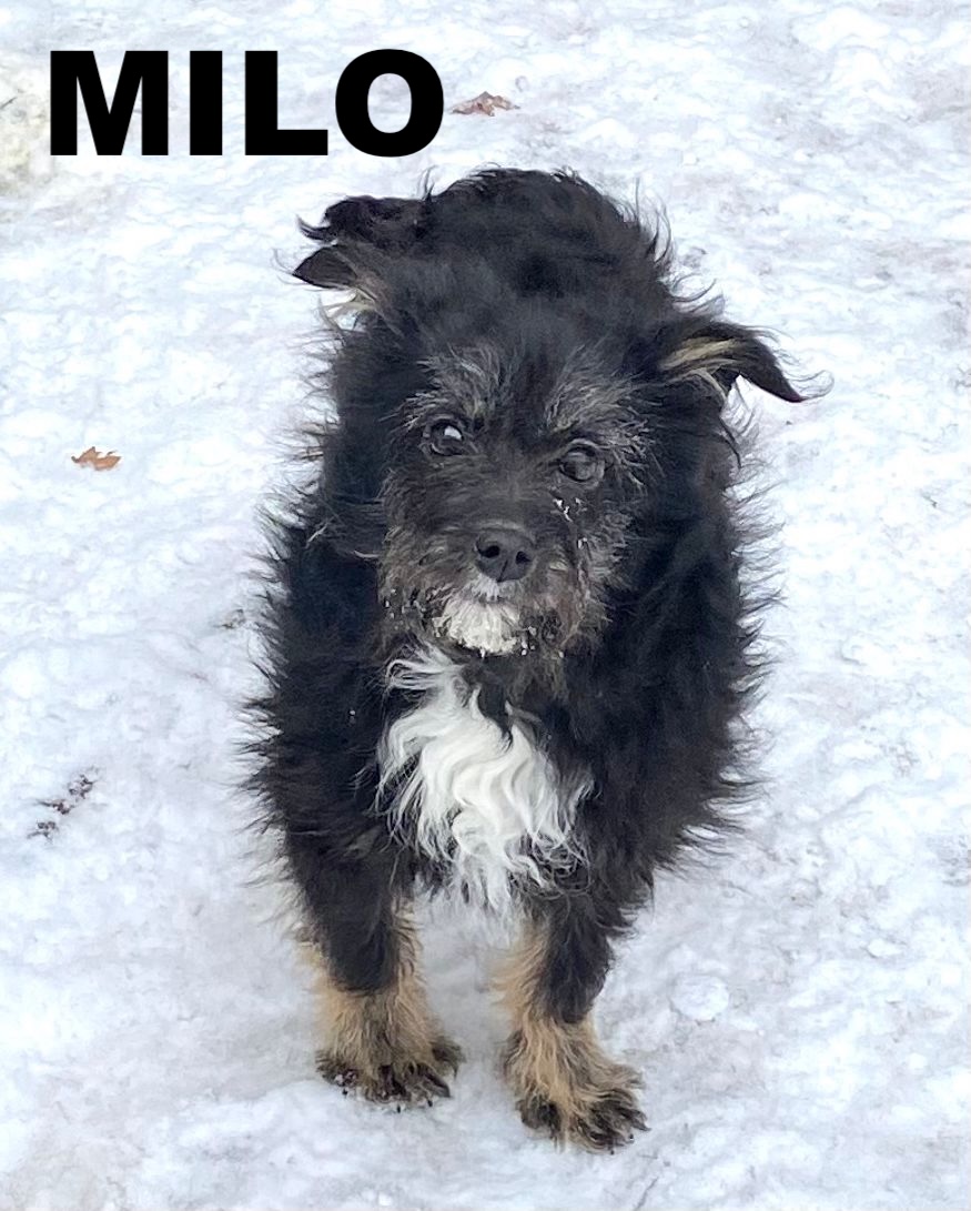 whatsapp image 2026 02 05 at 21.26.00 (1)