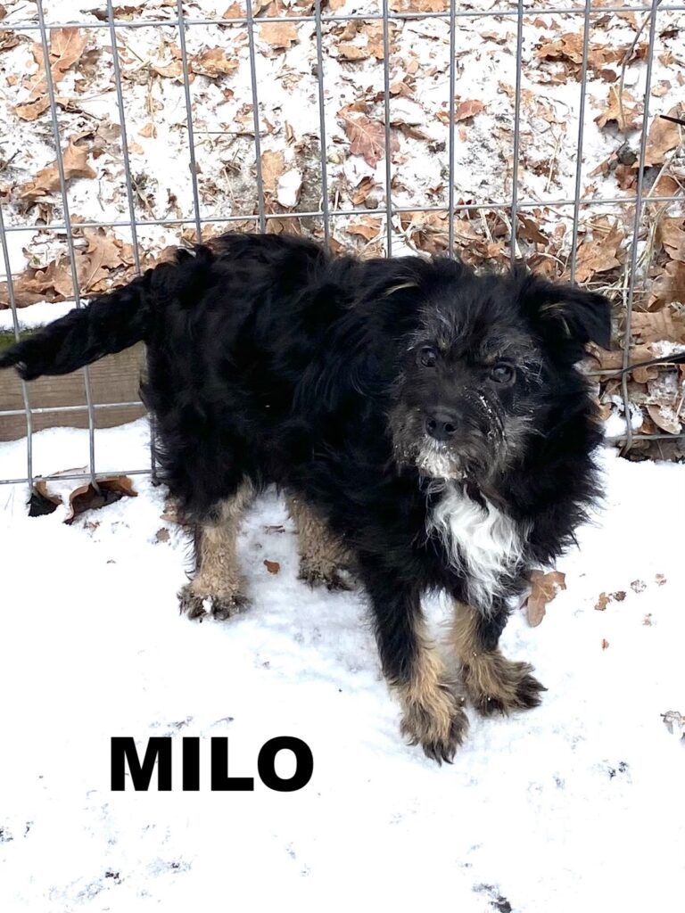 whatsapp image 2026 02 05 at 21.26.00