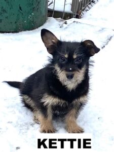 whatsapp image 2026 02 05 at 21.28.38