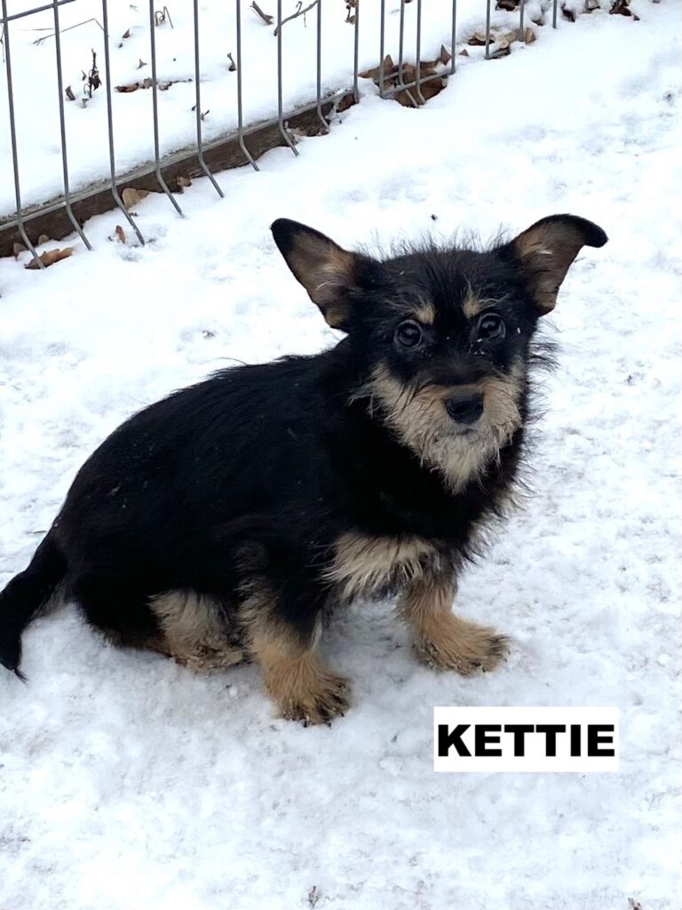 whatsapp image 2026 02 05 at 21.28.39 (1)