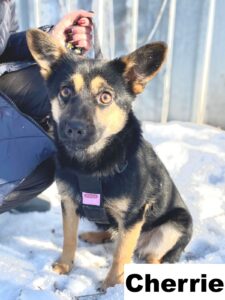 whatsapp image 2026 02 07 at 22.28.36