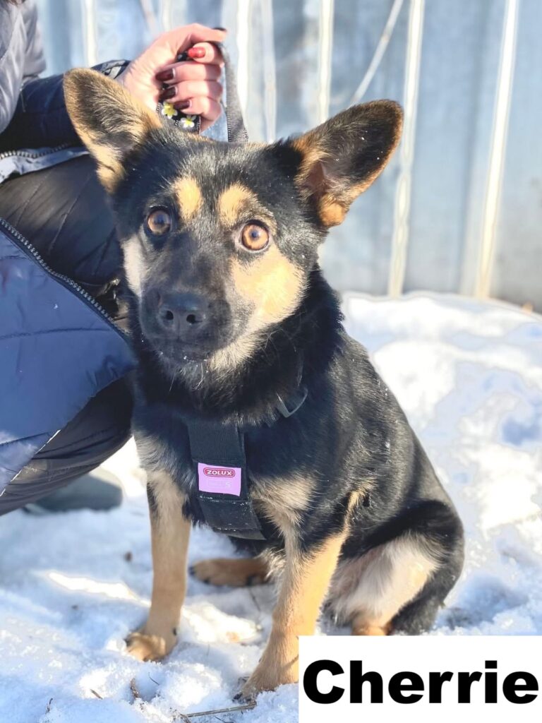 whatsapp image 2026 02 07 at 22.28.36