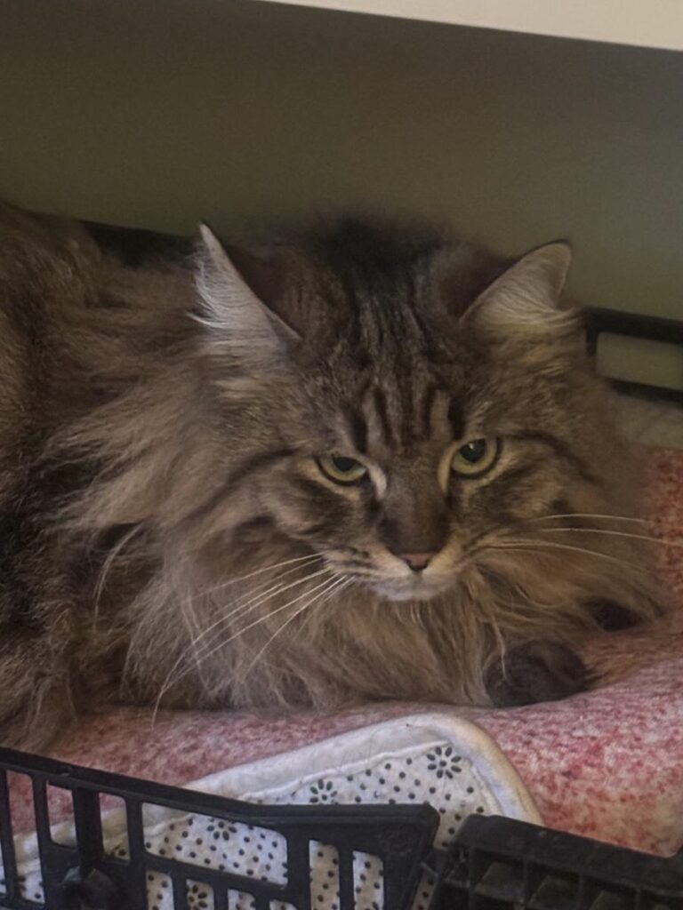 51a45335 a485 4582 b328 d577a8e23f74