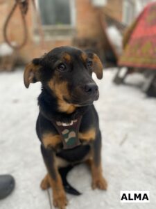 634223722 922800893594514 5833482750307745310 n