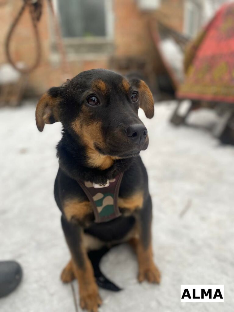 634223722 922800893594514 5833482750307745310 n