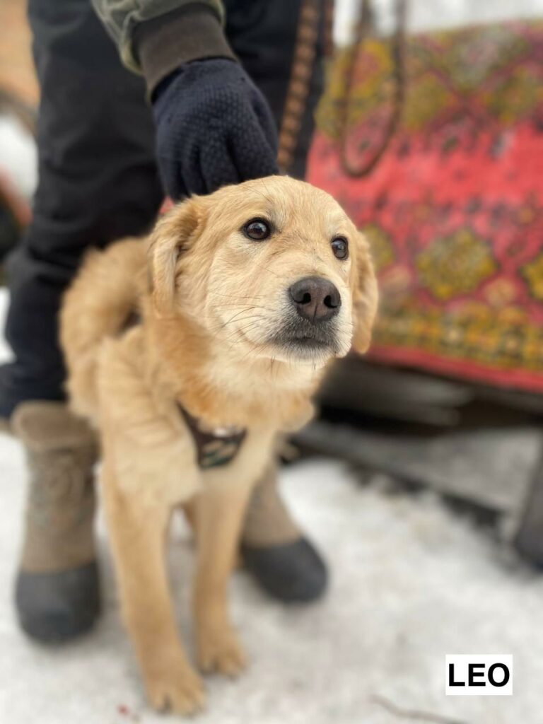 635646840 922804176927519 4194213989380641533 n