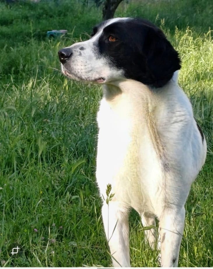 665cc468 4a84 4007 b306 fe212c6b71cf