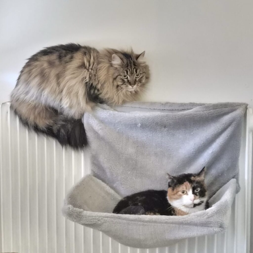 86830958 8612 4a35 ab84 24d670c048d8