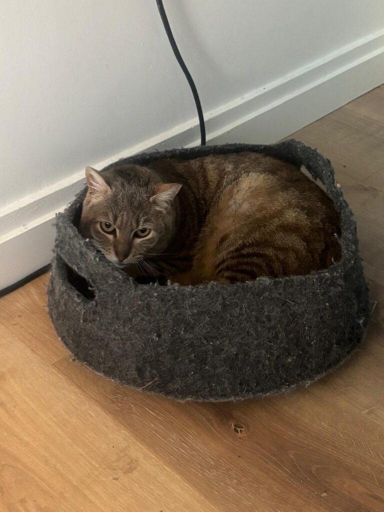 8cbfe9c6 d2fd 48a4 98ee 99d2cabe6607