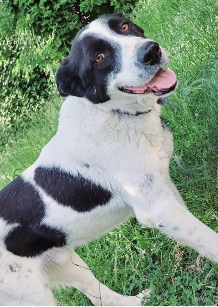 b0e79b3f 68b1 40b1 a9d3 d5da340eabef