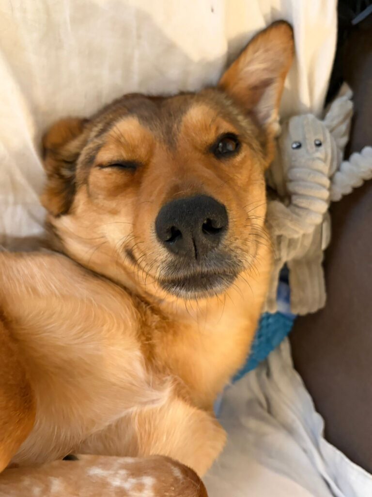 ddc75b5e cb43 4fc3 9e1e 8c2fd763f363 2